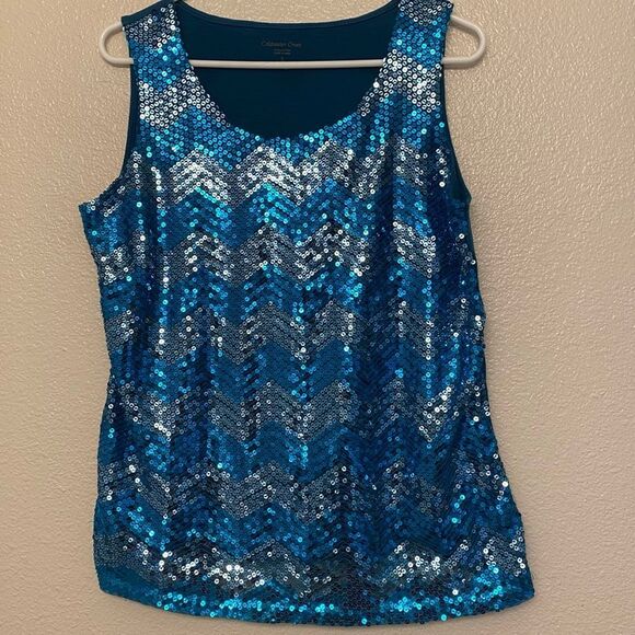 Coldwater Creek aqua teal blue allover sequin chevron art deco glam blouse  L 14 - Picture 1 of 9